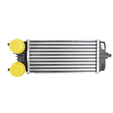 Intercooler pour FORD ECOSPORT II ph.1, 2013-2017, OEM: 2180086, Neuf