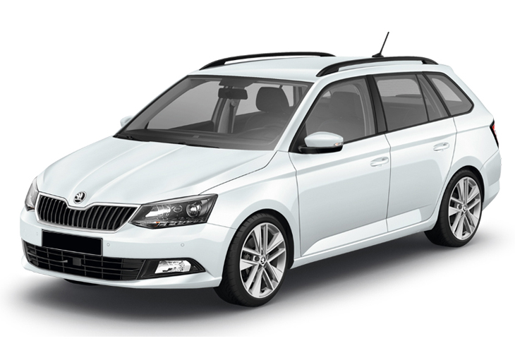 Pices de carrosserie pour SKODA FABIA II phase 2 2010 2011 2012 2013 2014